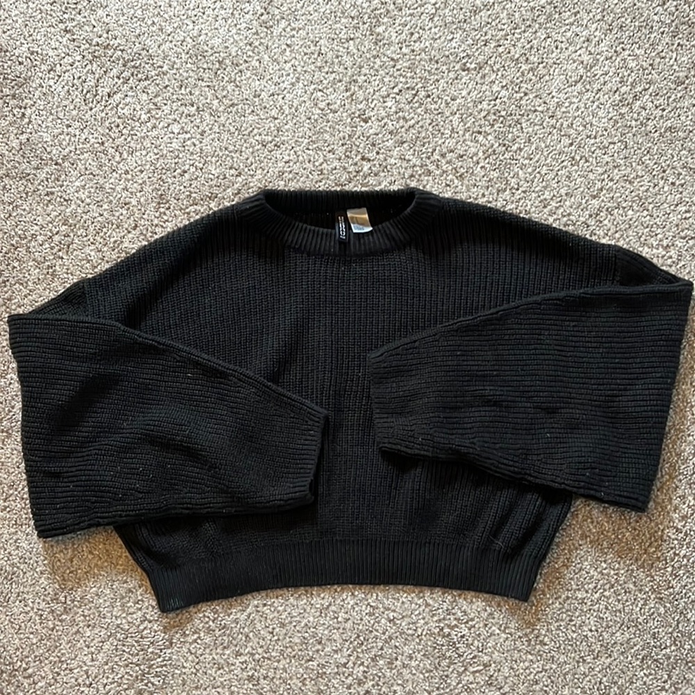 H&M Divided Cropped Sweater